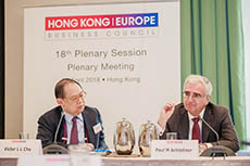 The 17th Plenary Session