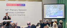 The 14th Plenary Session